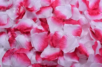 5,000 ks 4.5*4,5 cm Gradient Biela+Ružová Ruža Kvet, Listy Lístkov Pre Svadobné Party Sviatok Miesto Dekorácie, Farby-22